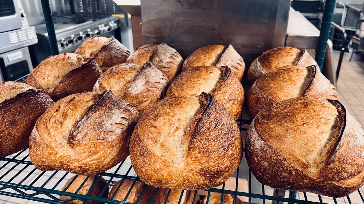 Freshly baked RISE sourdough loaves