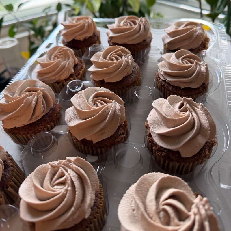 Chocolate Cupcakes