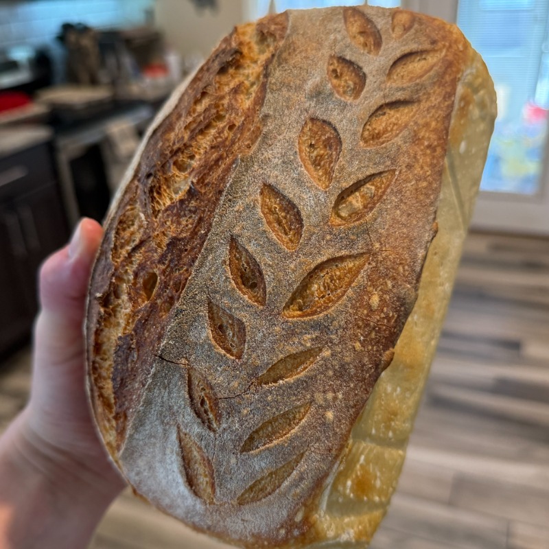Original Sourdough