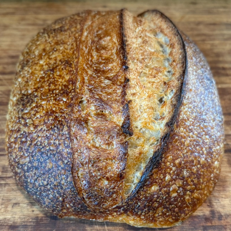 Organic Sourdough White County Loaf