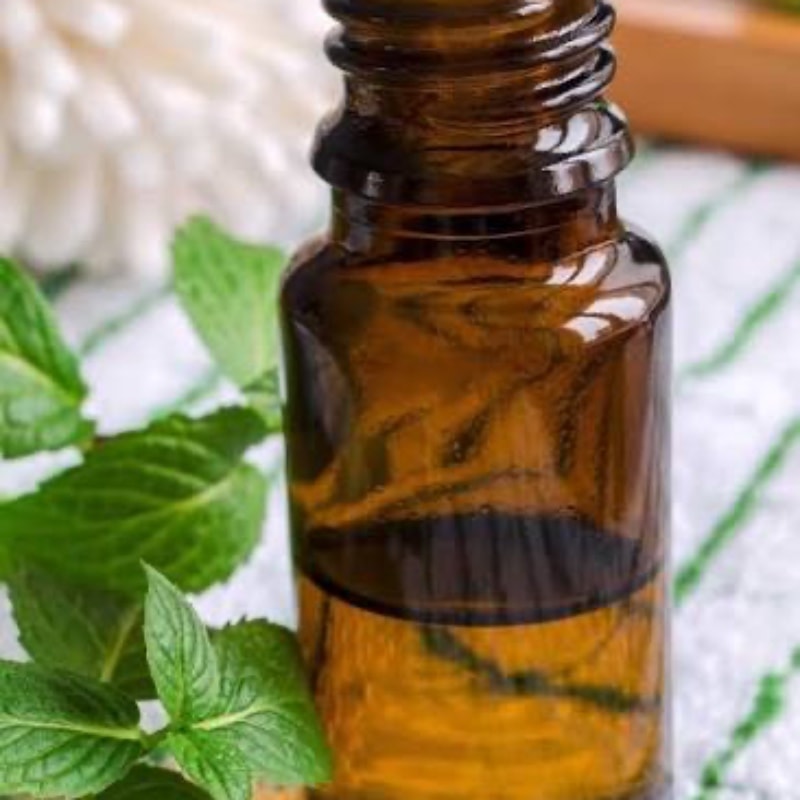 Photo of Peppermint Extracts