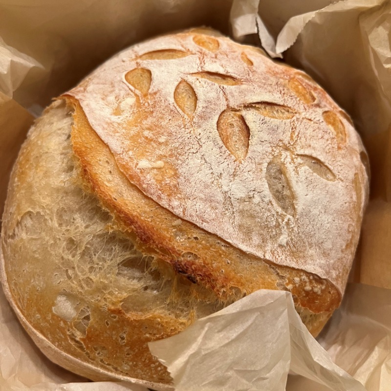 Sourdough Bread