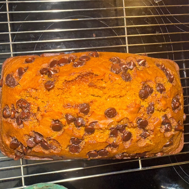Pumpkin chocolate chip loaf 
