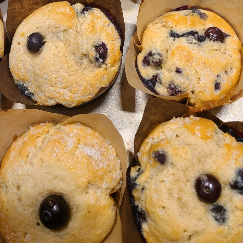 Photo of Blueberry Muffin