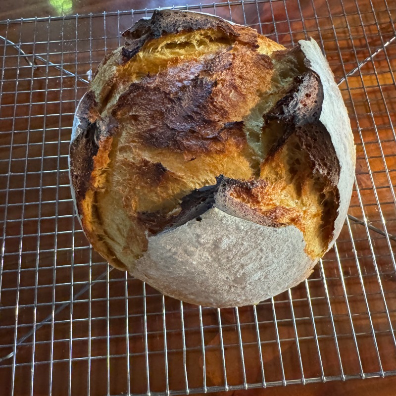 Spiced Pumpkin Sourdough 