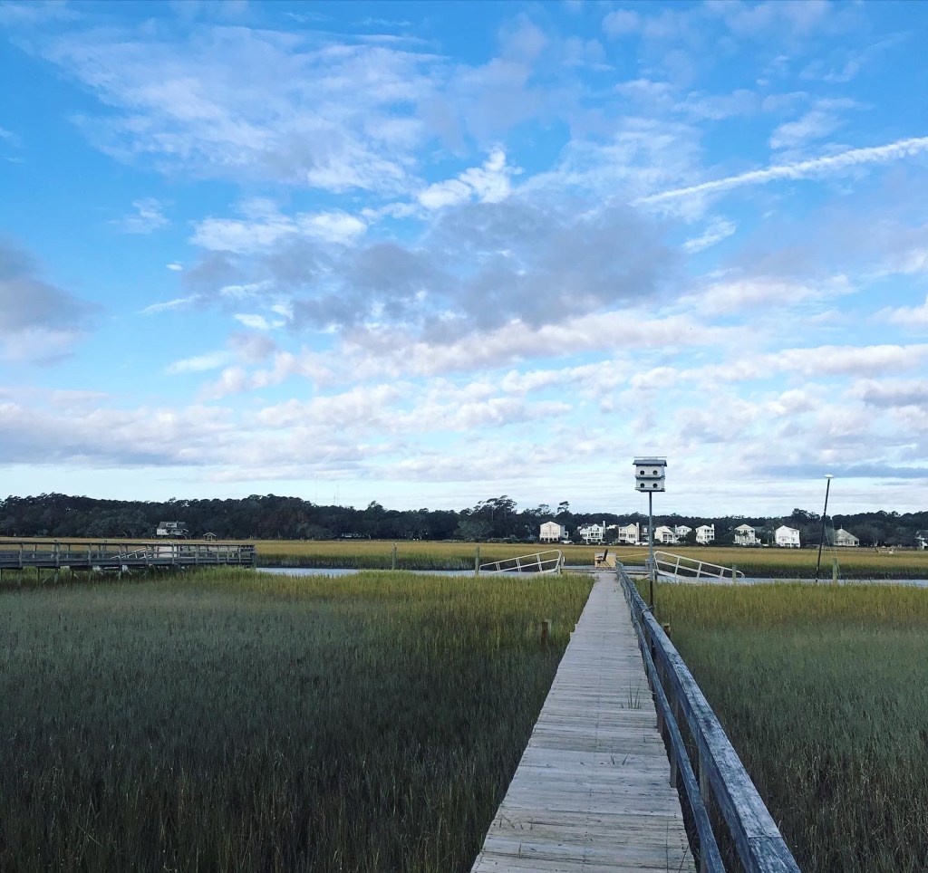 Low-Country Chicken and Dumplings