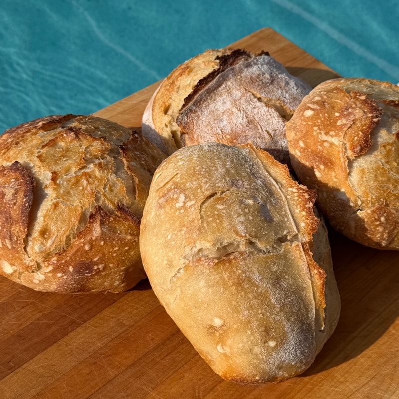 Cranberry Walnut Sourdough Loaf