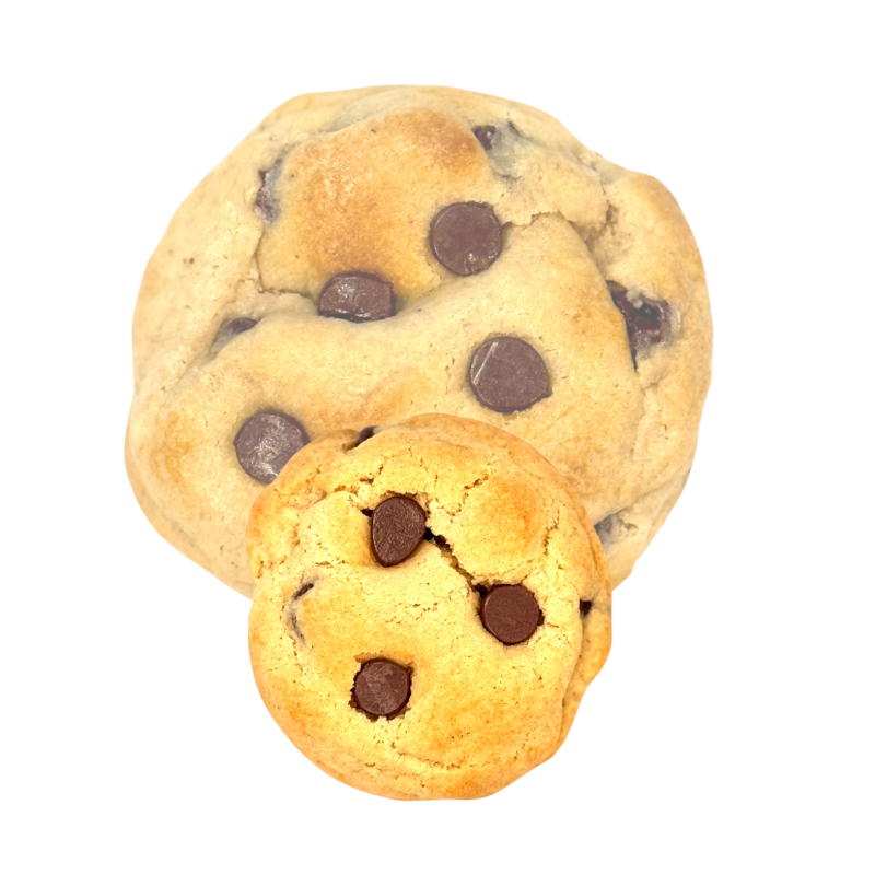 Mini Crumbs Box (One Dozen)