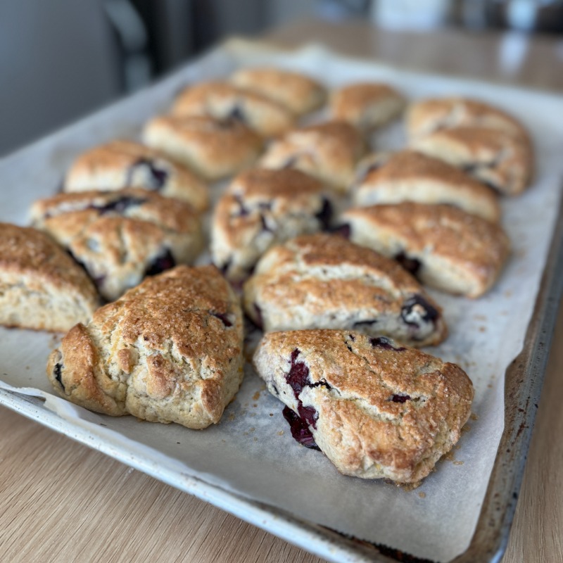 Sourdough Lemon Blueberry Scones