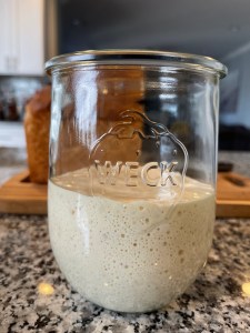 Sourdough Starter and My Favorite Discard Recipe