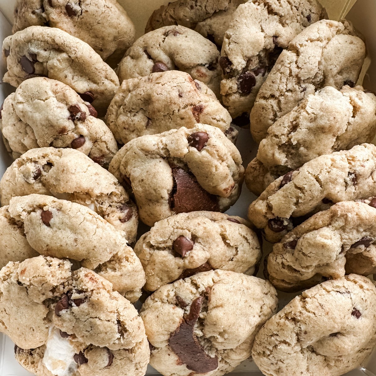 Chocolate Chip Cookies