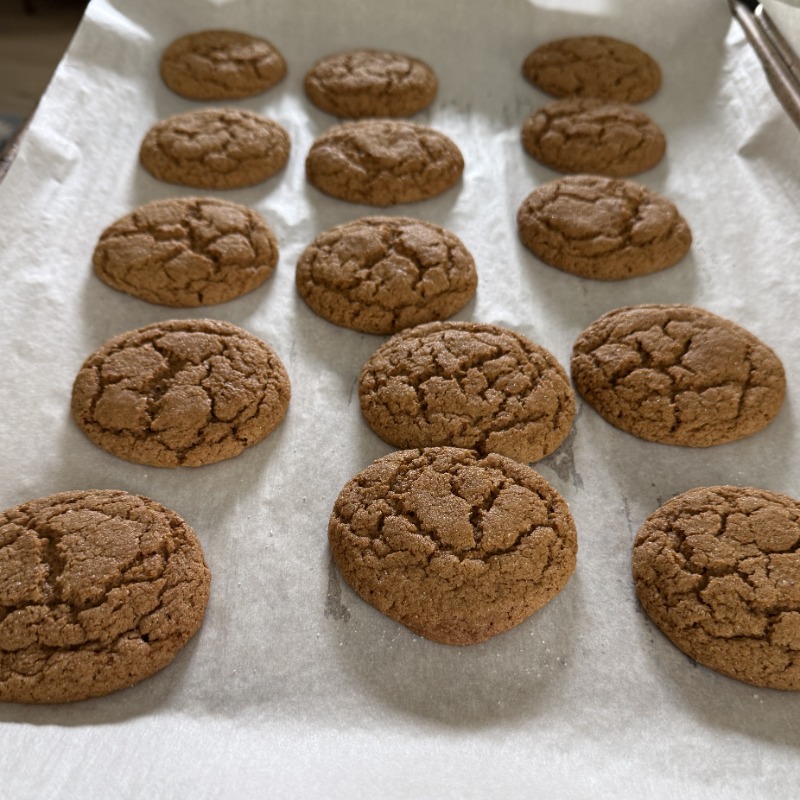 Chewy Molasses Cookies