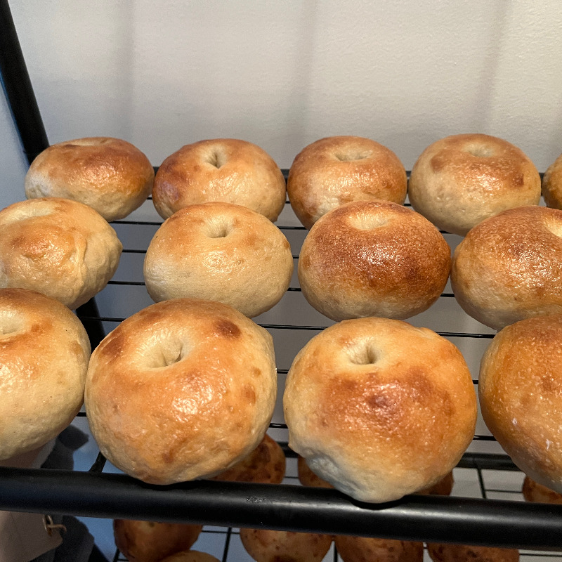 Photo of Sourdough Bagels - plain - pack of 6