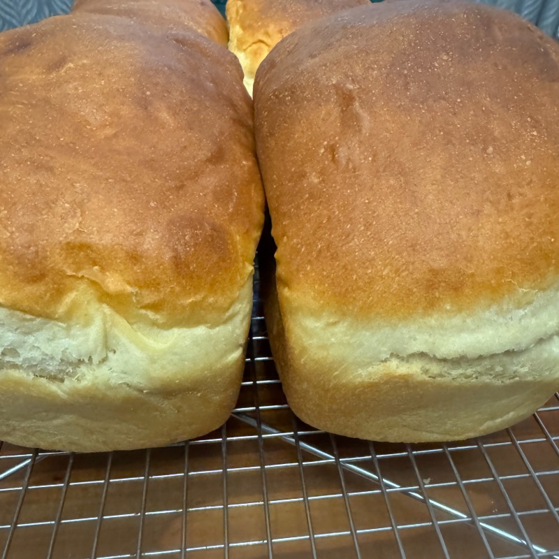 Grandma's Sandwich Bread