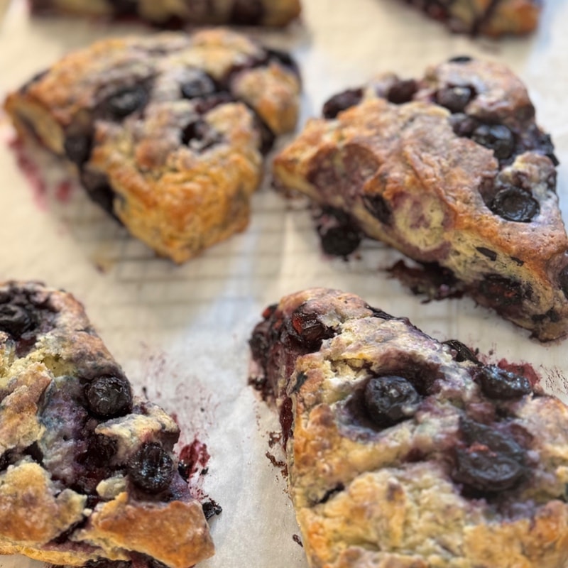 Sunrise Lemon Blueberry Sourdough Scones