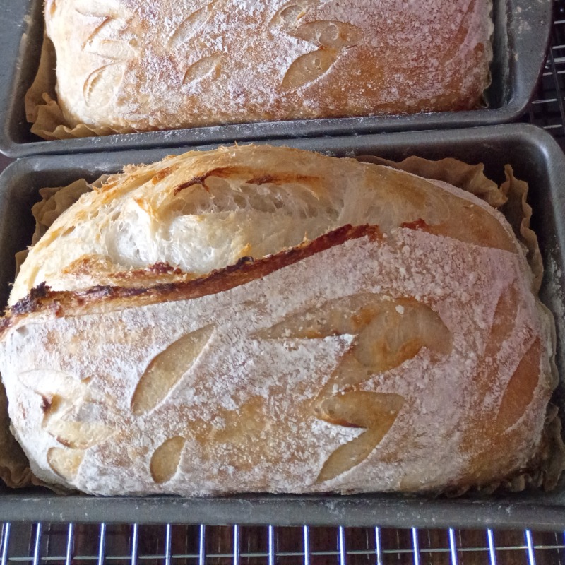 Plain Sourdough Loaf
