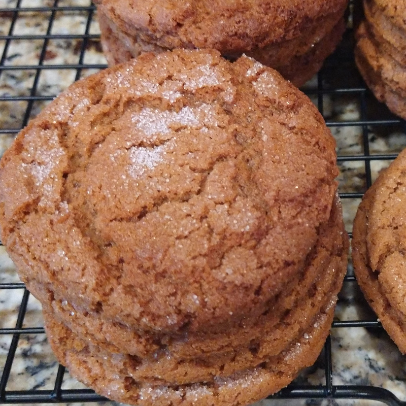 Photo of Ginger Snaps