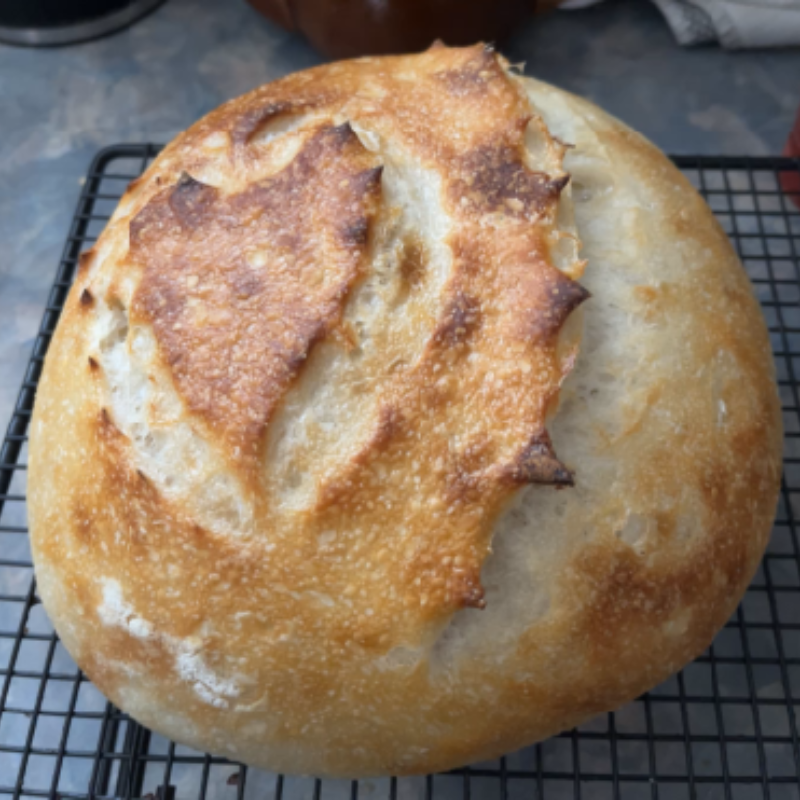Artisan Sourdough Loaf - Plain