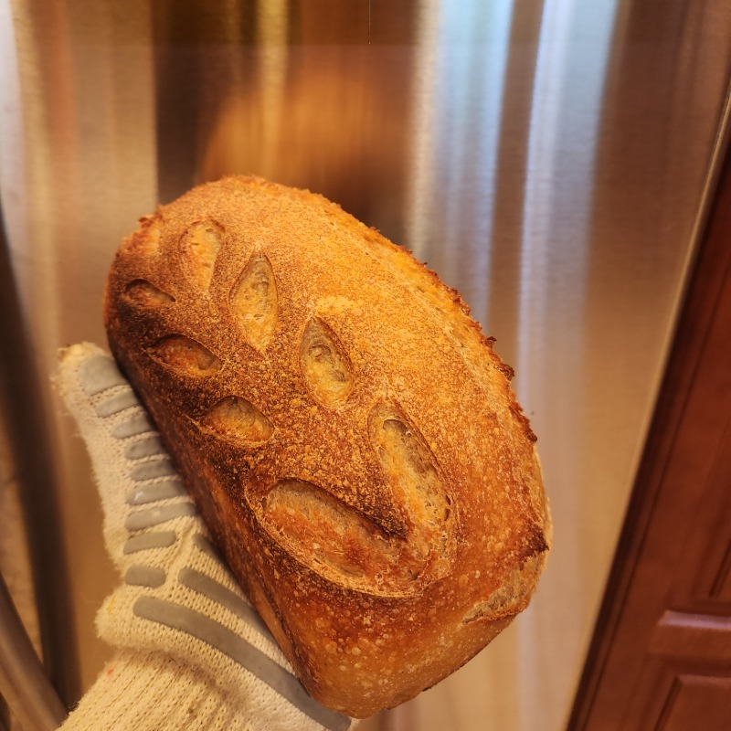 Organic Sourdough Loaf