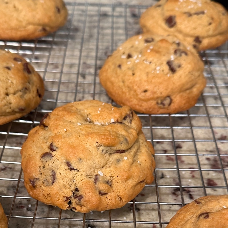 Sourdough Chocolate Chip Cookies