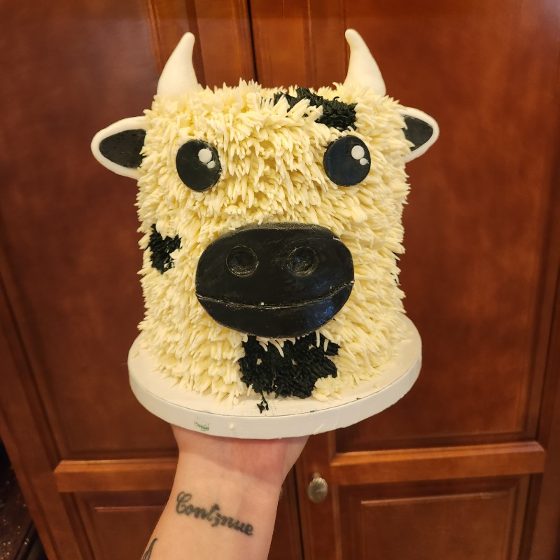 Cakes For Children Fund