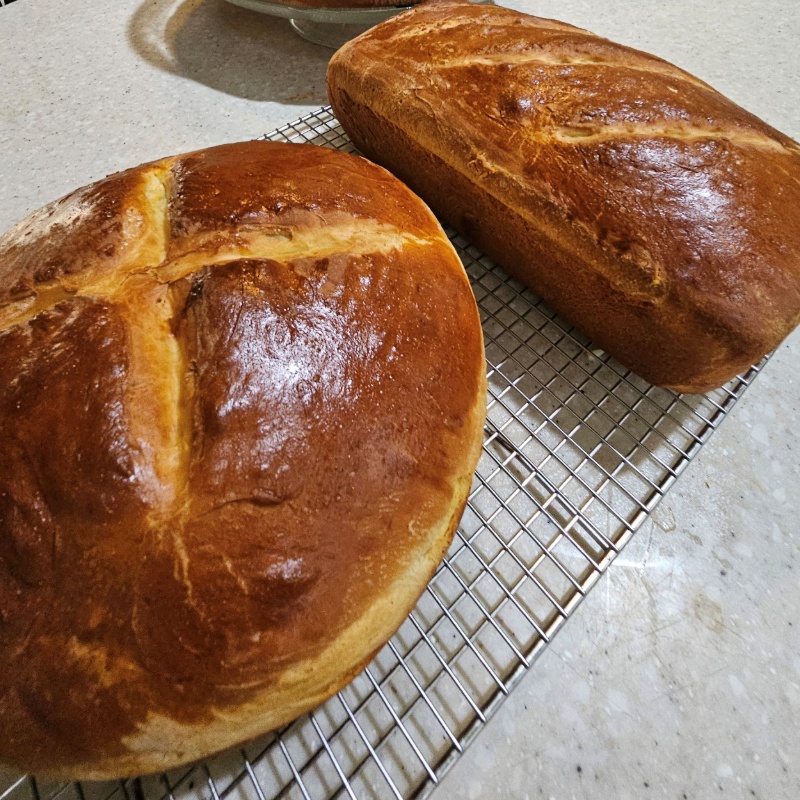 Sally Lunn Loaves