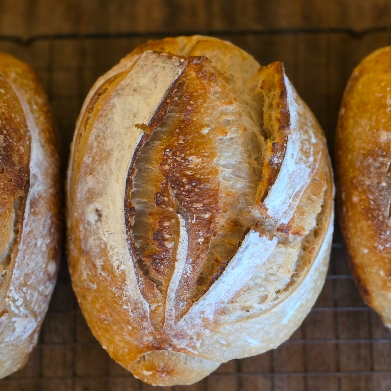 Traditional Sourdough Bread- Batard