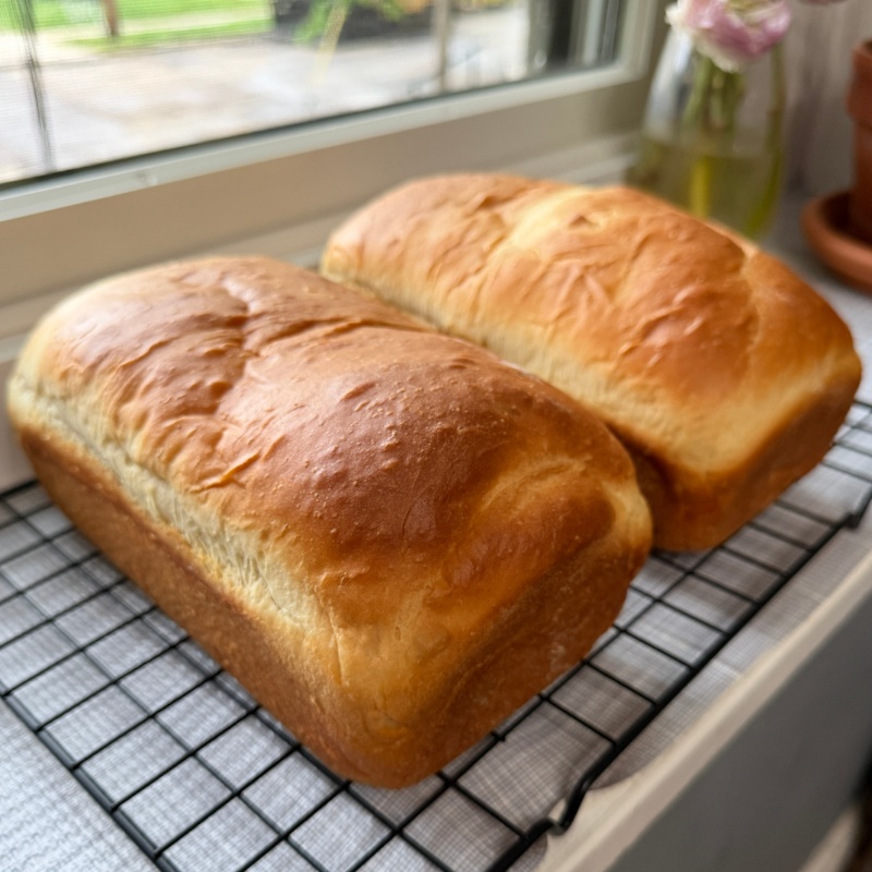 Sandwich Bread