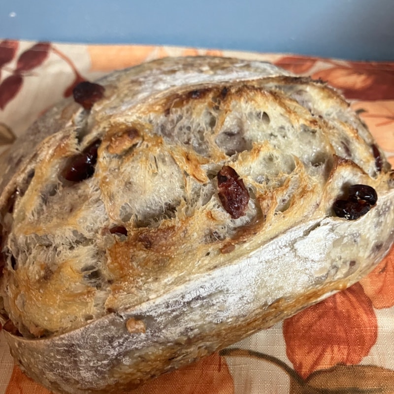 Photo of Cranberry Walnut Sourdough