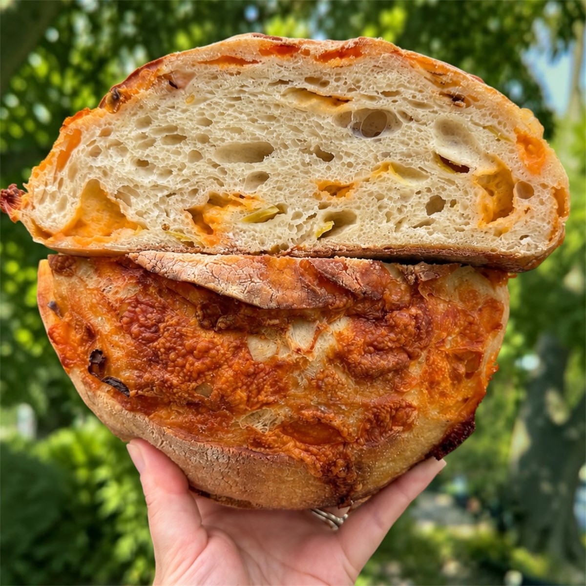 The Jalapeño Cheddar