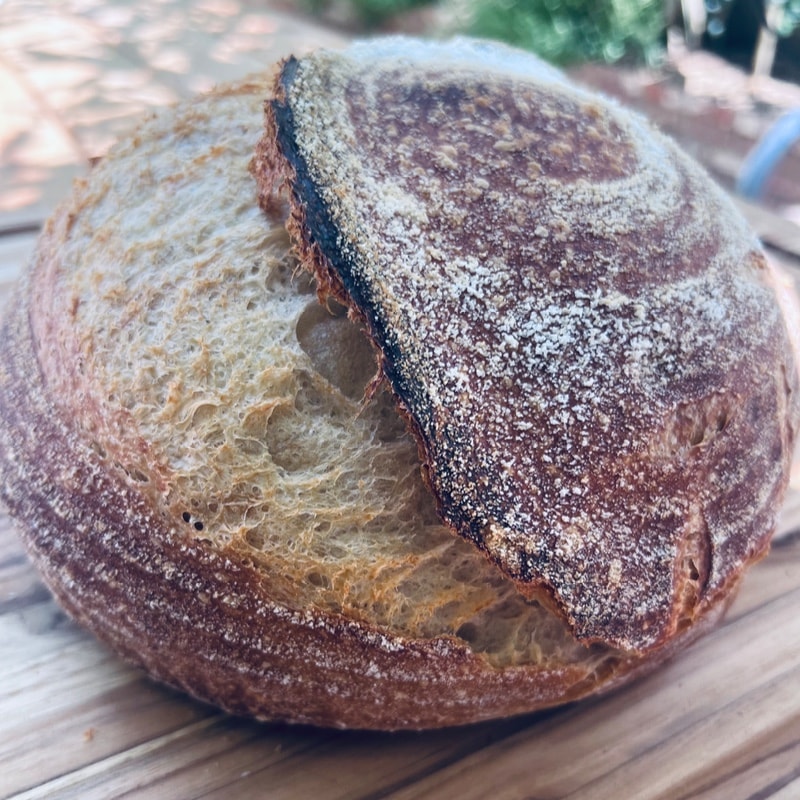 Sourdough Boule (Round)