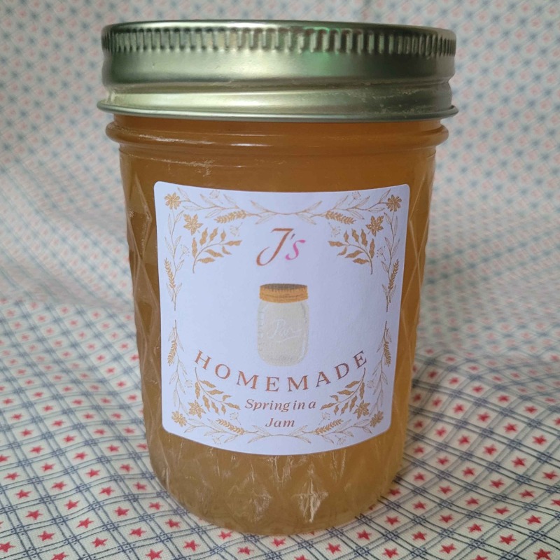 Spring in a Jam