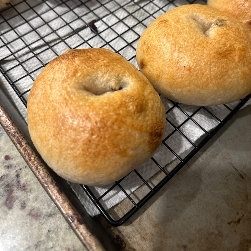 Photo of Custom Order Sourdough Bagels