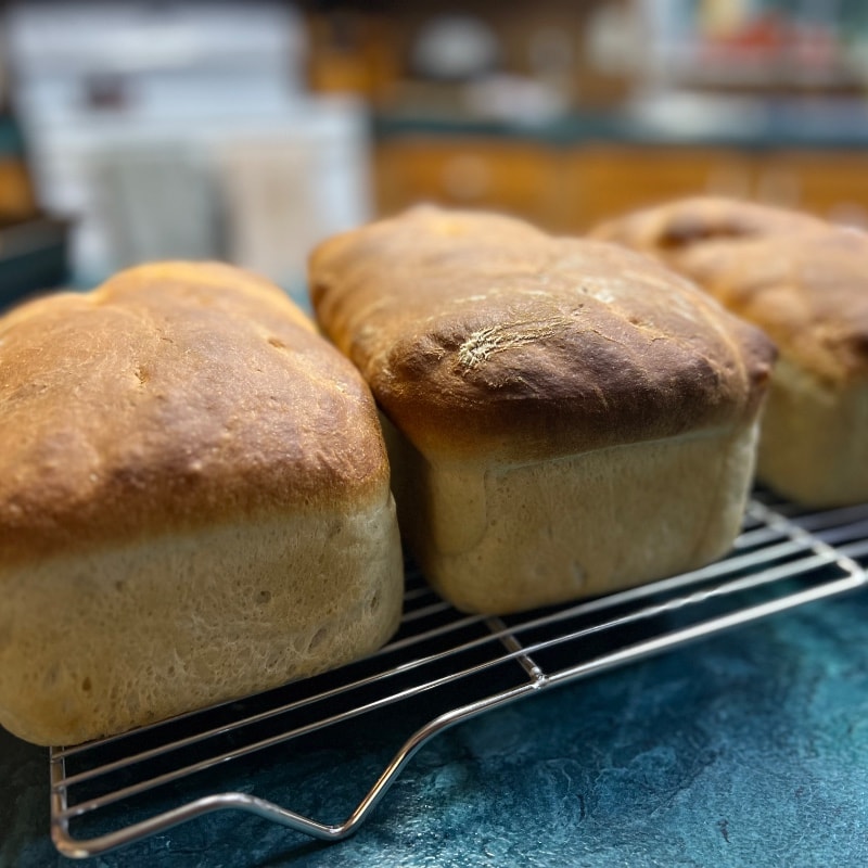 Sandwich Loaf