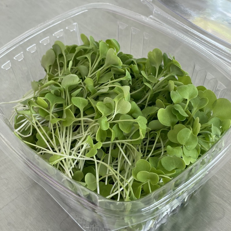 Photo of Arugula Microgreens