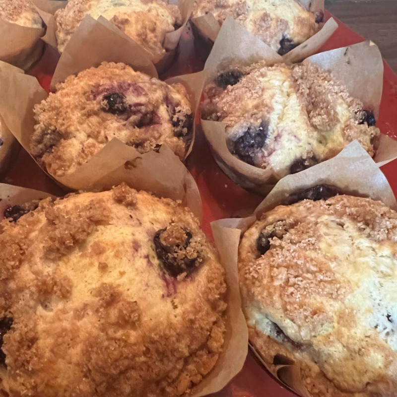 Lemon Blueberry Sourdough Muffins