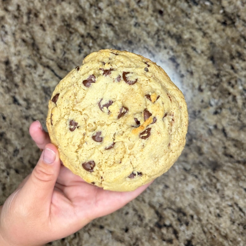 Sourdough Discard Chocolate Chip Cookie 