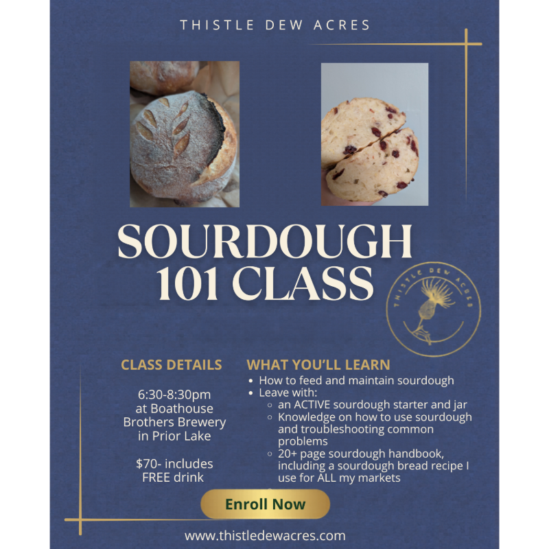 Sourdough 101 Class
