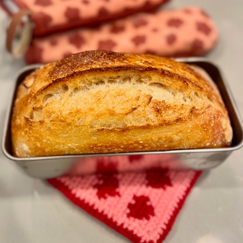 FROZEN Sandwich Loaf