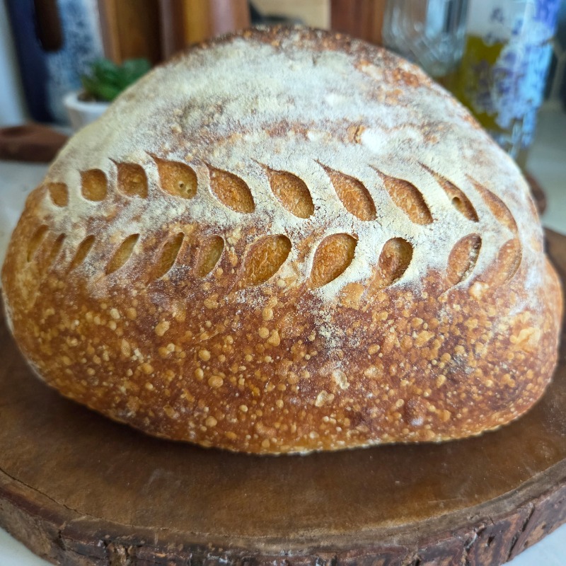 Artisan Original Organic Sourdough Bread