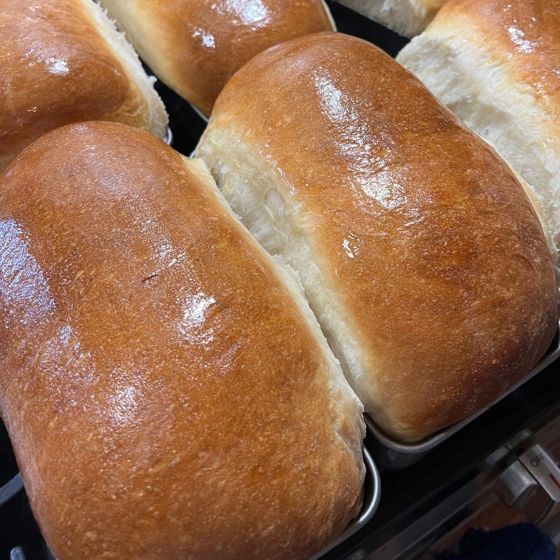 Photo of Yeast Sandwich Bread