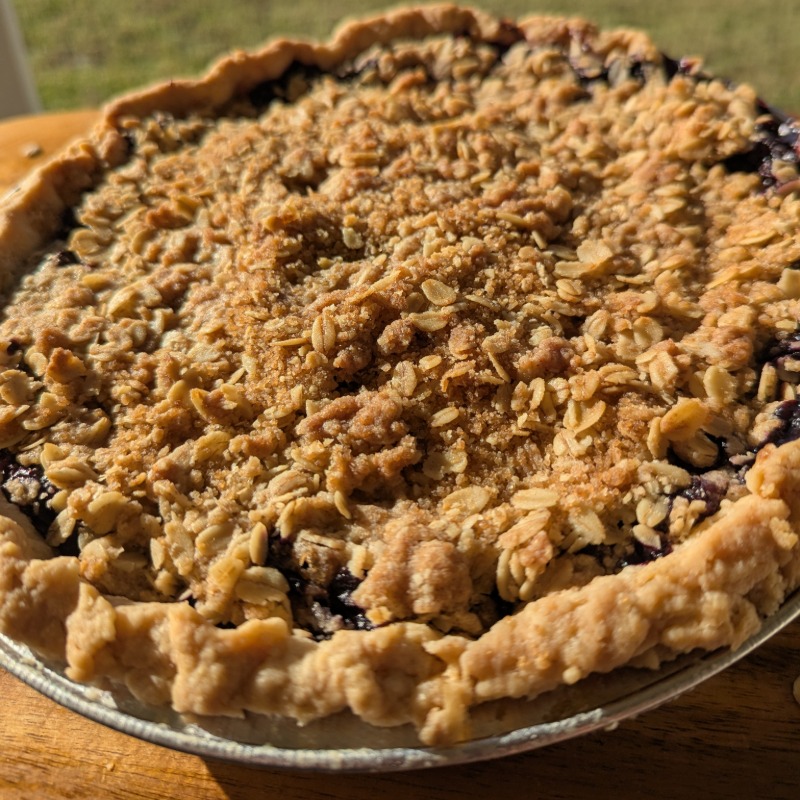 Blueberry Crumble Pie 9"
