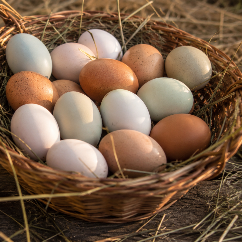 Farm Fresh Eggs
