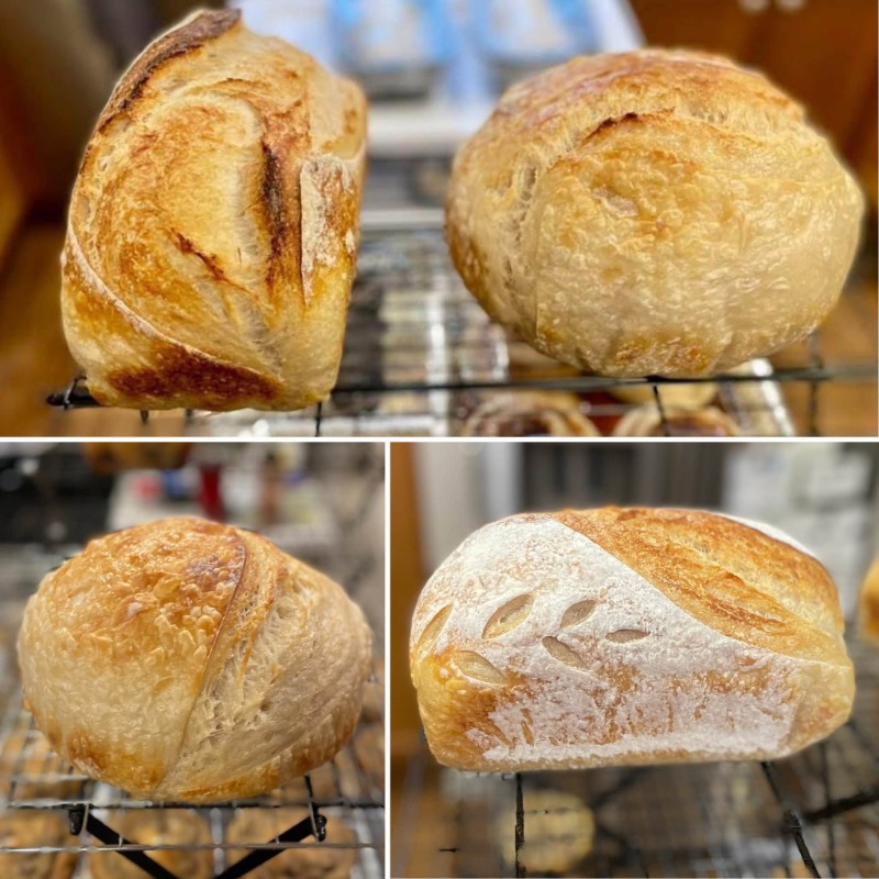 Regular Sourdough loaves - Loaf or round boule option