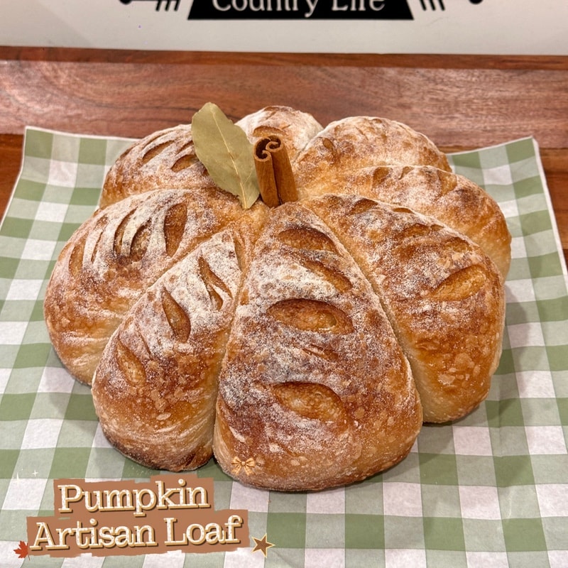 🎃 Pumpkin-Shaped Artisan Sourdough Loaf