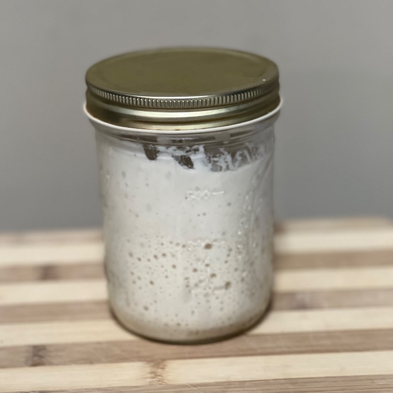 Sourdough Starter - Live