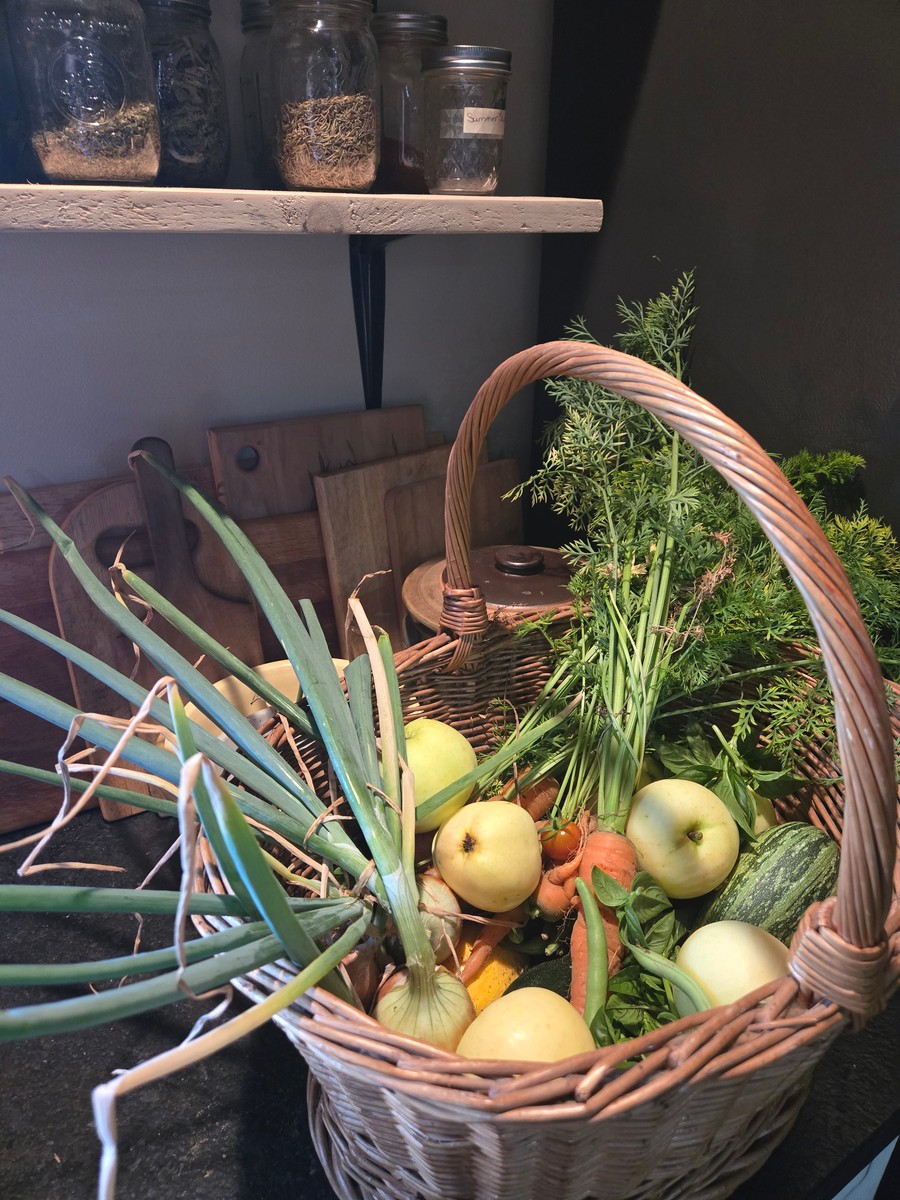basket filled with garden veggies that have been gathered, apples, onions, carrots, squash, and tomatoes 