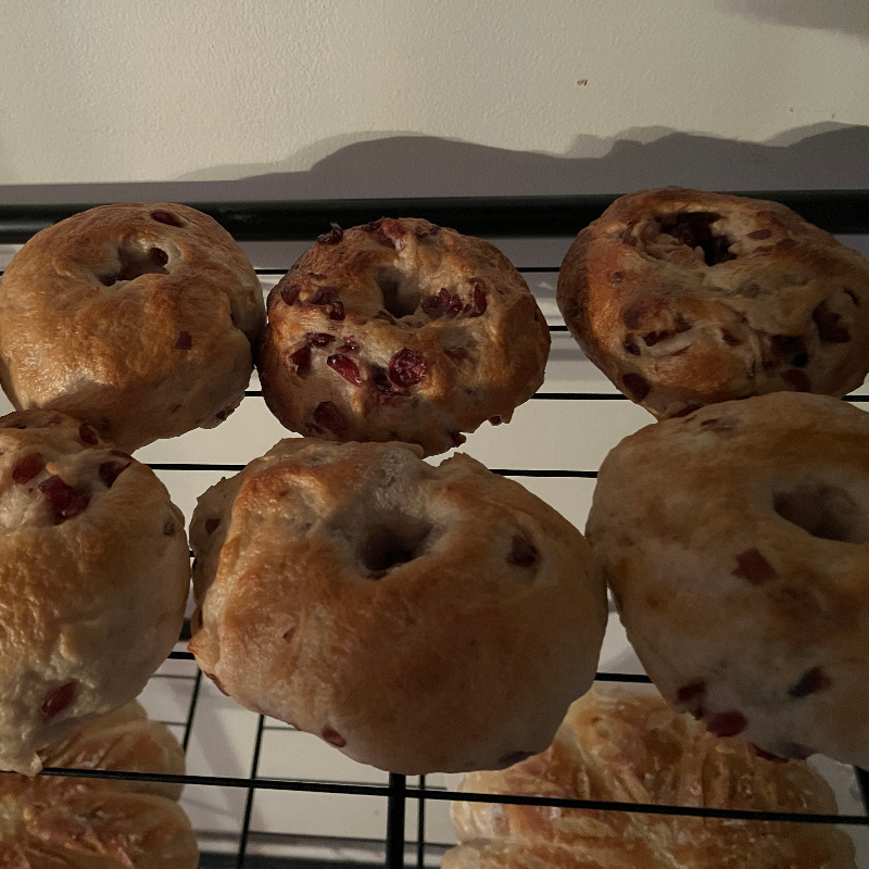 Photo of Sourdough Bagels - Cranberry Lemon - pack of 6