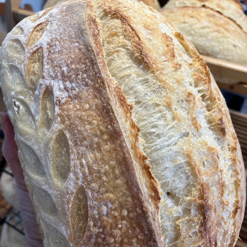 Photo of Classic Sourdough Loaf