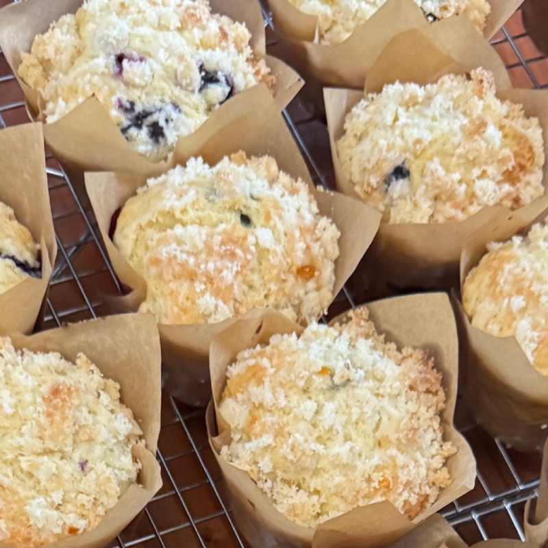 Sourdough Blueberry Muffins